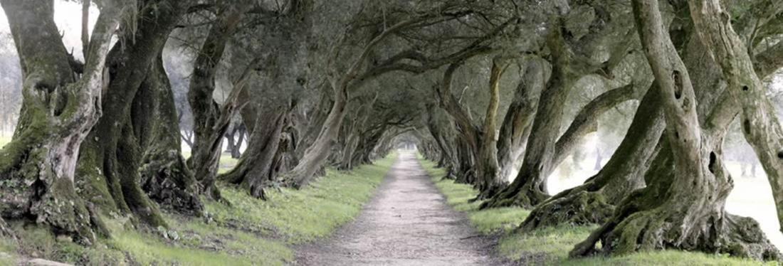 Vila Casa De Fares A Estrada Exteriér fotografie